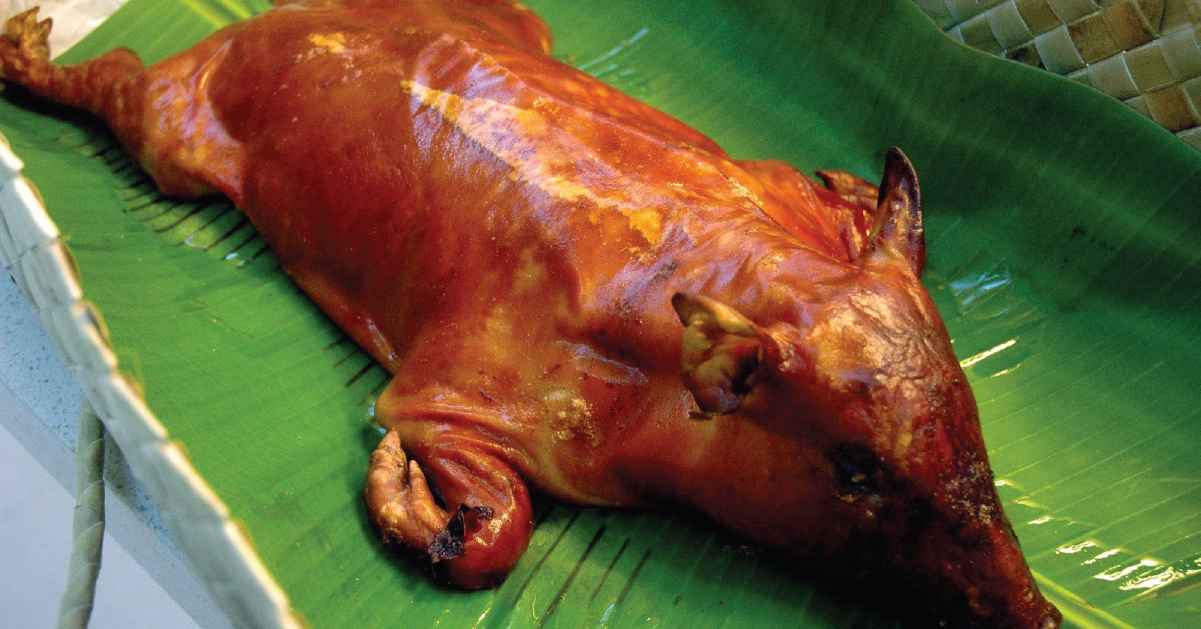How To Cook The Best Cochinillo At Home